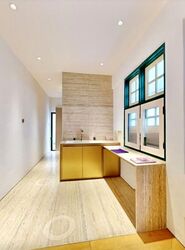 Bukit Pasoh Conservation Area (D2), Shop House #620771421